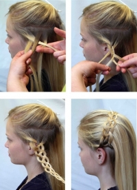 Langhaarsteckberatung